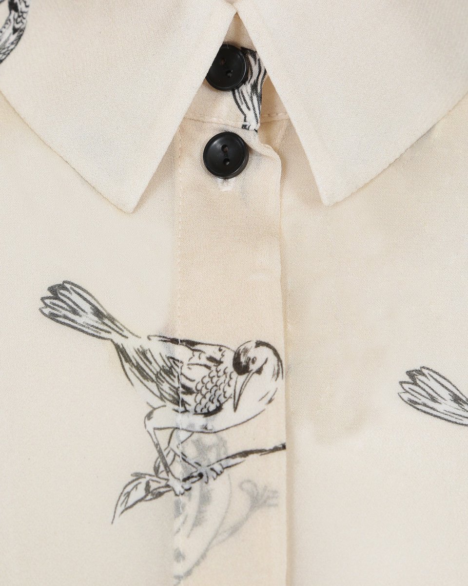 Блуза из шифона молочного цвета, принт "Птицы"